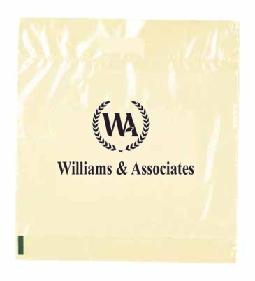 Foldover Die Cut Handle Bag 20x20x6