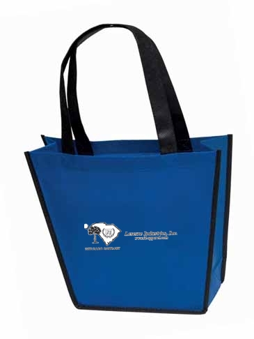 Carnival Tote
