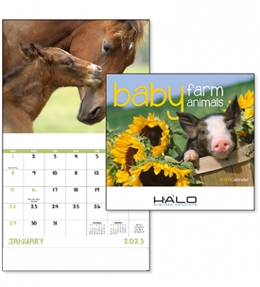 Baby Farm Animals - Stapled