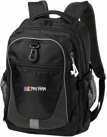 Domain Computer Backpack