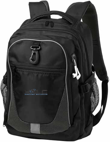 Domain Computer Backpack