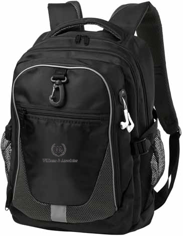 Domain Computer Backpack