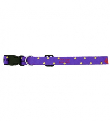 3/8" Dog Collar