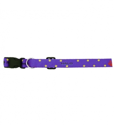 3/8" Dog Collar
