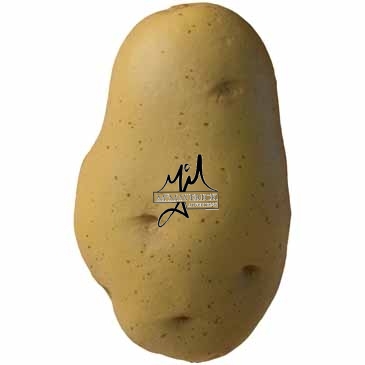Potato Stress Reliever