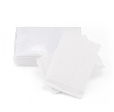 10 Mini Facial Tissues
