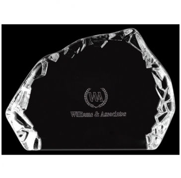 Medium Iceburg Award