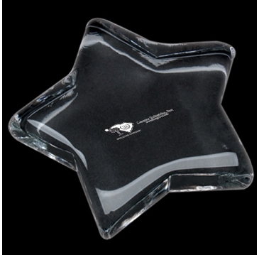 CEO Star Paperweight