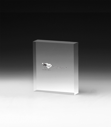 PhotoImage® Square Paperweight - 4" x 4" x 3/4"