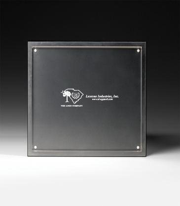 Magnetic Certificate Holder - Clear on Clear - 8 1/2" x 11" Inser