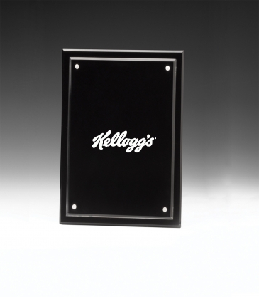 Magnetic Certificate Holder - Clear on Black - 8" x 10" Insert