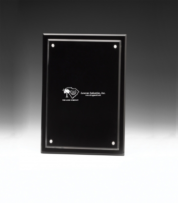 Magnetic Certificate Holder -8 1/2" x 11" Insert