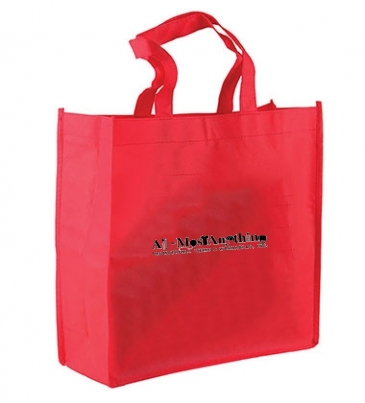 The Companion - 13" Non-woven Tote