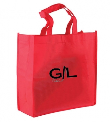 The Companion - 13" Non-woven Tote