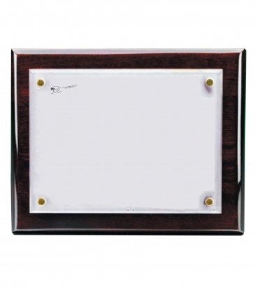 Nanobrite© Wall Plaque (8"x10")
