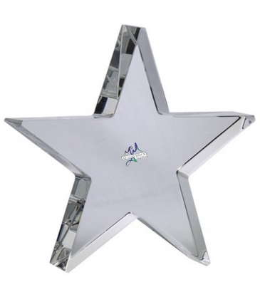 4" Optimaxx Self-Standing Star Award