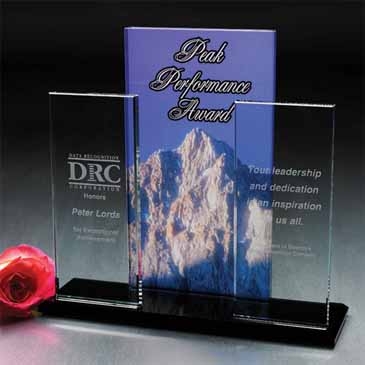 Tri-Panel Award