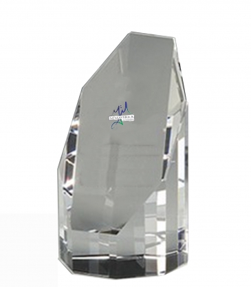 5" OptiMaxx Octagonal Tower Award