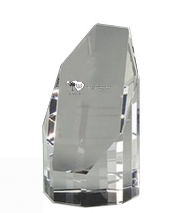 6" OptiMaxx Octagonal Tower Award