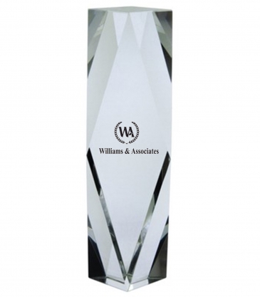 10" OptiMaxx Merit Award