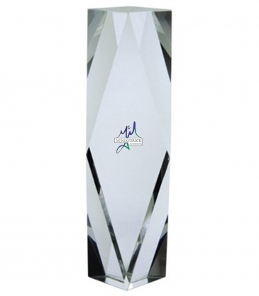 10" OptiMaxx Merit Award