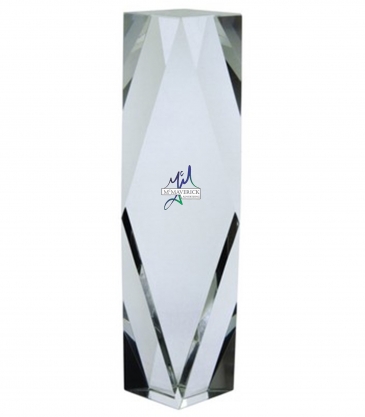 12" OptiMaxx Merit Award