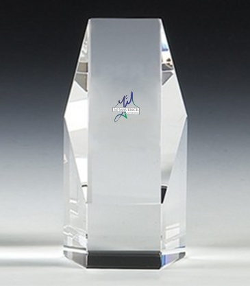 6" OptiMaxx Hexagon Award