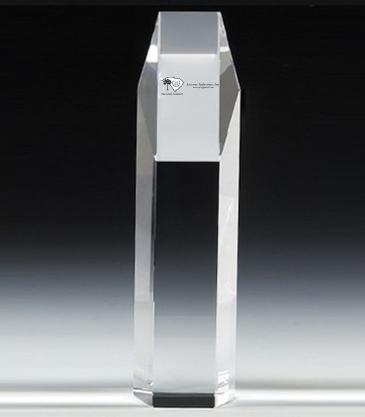 10" OptiMaxx Hexagon Award