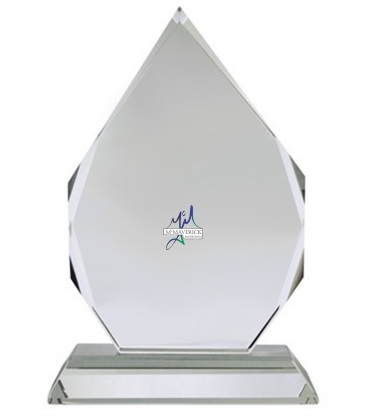 7" OptiMaxx Diamond Flame Award