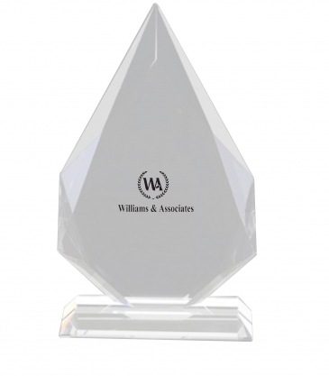 9" OptiMaxx Diamond Flame Award