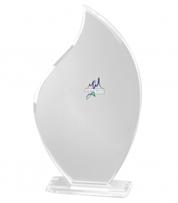 9" Spectacular Flame Award
