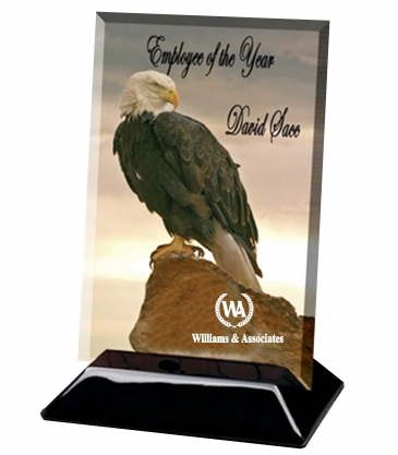 Beveled Rectangular Award (4"x6")