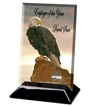 Beveled Rectangular Award (5"x7")