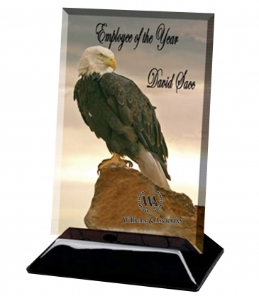 Beveled Rectangular Award (6"x8")