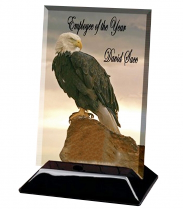 Beveled Rectangular Award (10"x12")