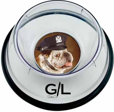 Small Pet Bowl