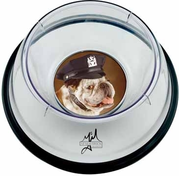 Small Pet Bowl