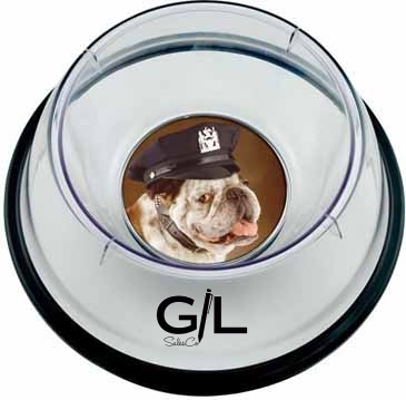 Large Pet Bowl