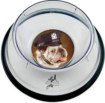 Large Pet Bowl