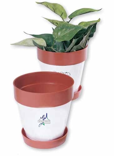 Snap-In Blossom Kit