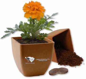 Bamboo Blossom Kit
