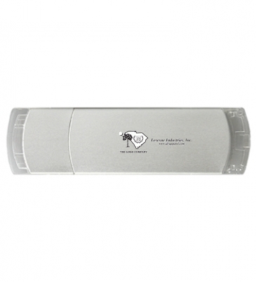 Kalamazoo USB Flash Drive