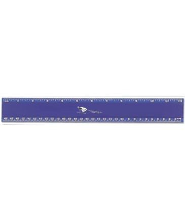 Pro-Scale 12" Plastic Ruler