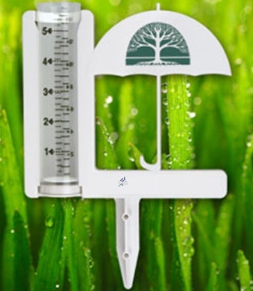 Umbrella Rain Gauge