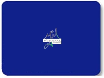 EZ-Peel Repositionable Roll Label | Rectangle | 2" x 3 1/2"