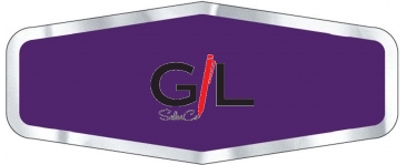 Car-Cal Dealer Decal | Diamond | 1 3/4" x 4 1/4" | Chrome Polyest