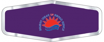 Car-Cal Dealer Decal | Diamond | 1 3/4" x 4 1/4" | Chrome Polyest