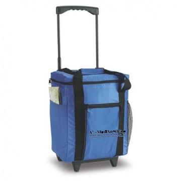 Rolling Cooler