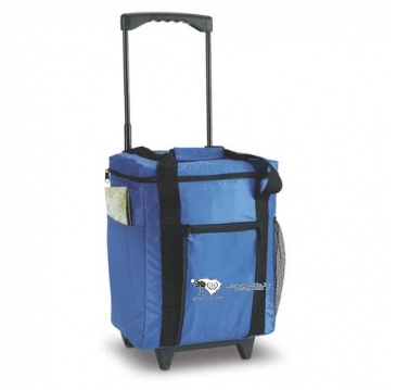 Rolling Cooler