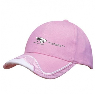 Brushed Heavy Cotton with Mesh Insert on Peak & Embroidered Trim